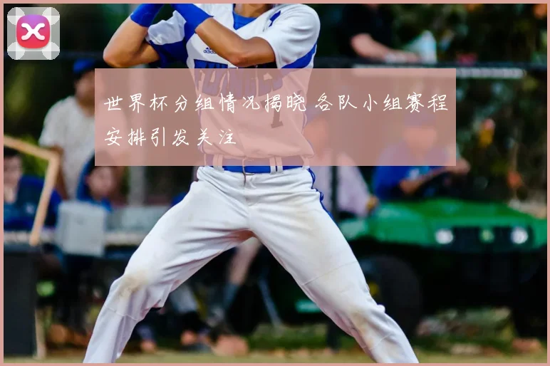 世界杯分组情况揭晓 各队小组赛程安排引发关注